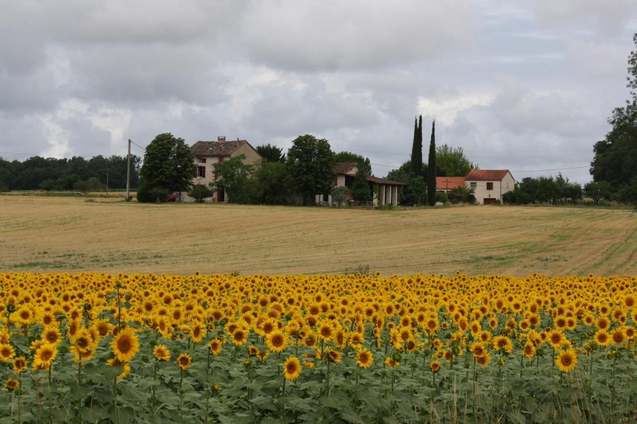 Domaine 3 Soleils Bed and Breakfast Labastide-de-Lévis Eksteriør billede